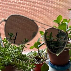 Stylish Aviator Sunglasses